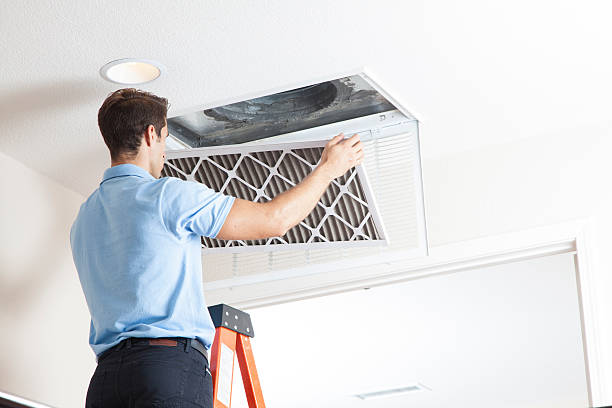 Best Air Quality Test  in Cottonwood, AL
